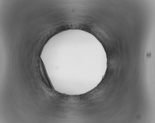 X0000091300865200709071051