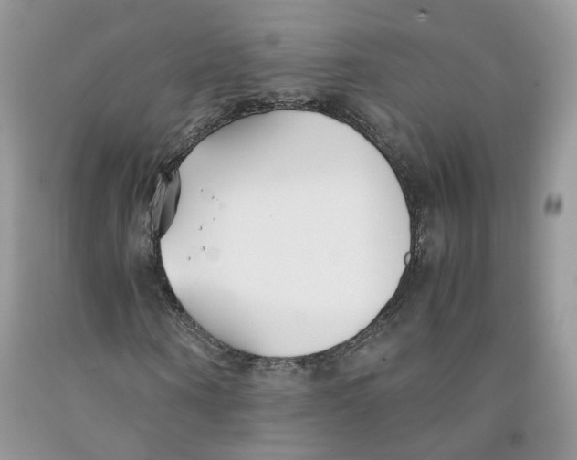 X0000091300866200709071051