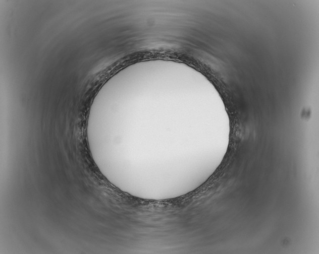 X0000091300869200709071051