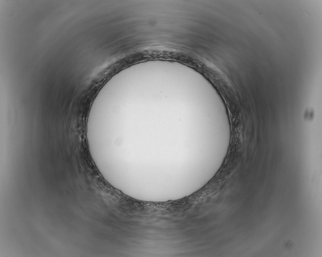 X0000091300870200709071051