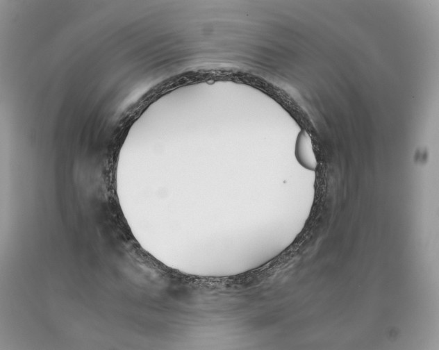 X0000091300871200709071051