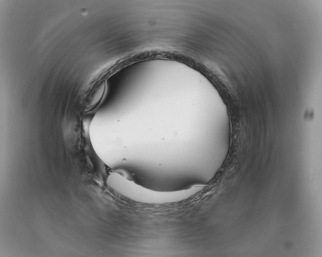 X0000091300872200709071051