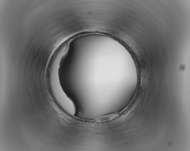 X0000091300876200709071051