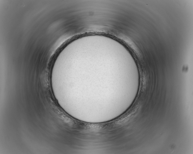 X0000091300878200709071051