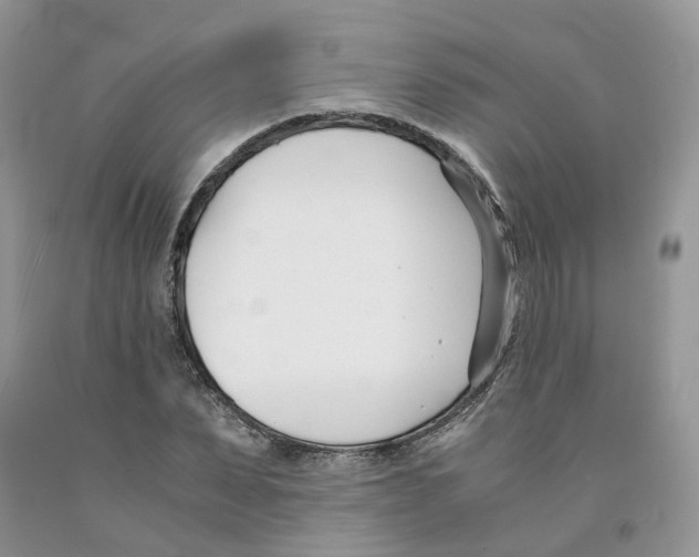 X0000091300879200709071051