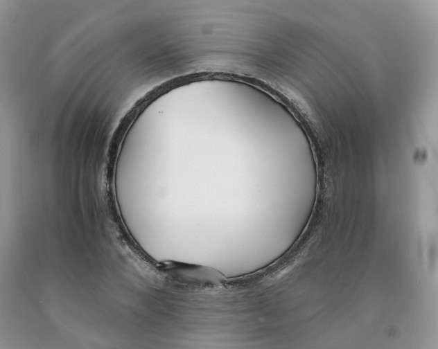 X0000091300880200709071051