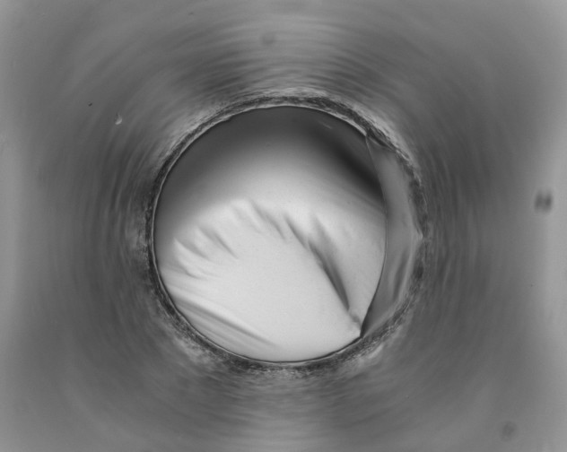 X0000091300881200709071051