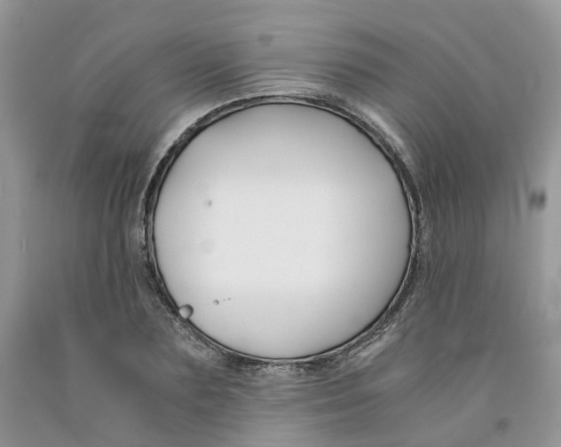 X0000091300883200709071051