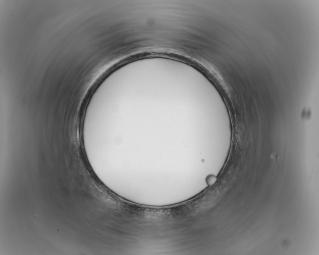 X0000091300887200709071051