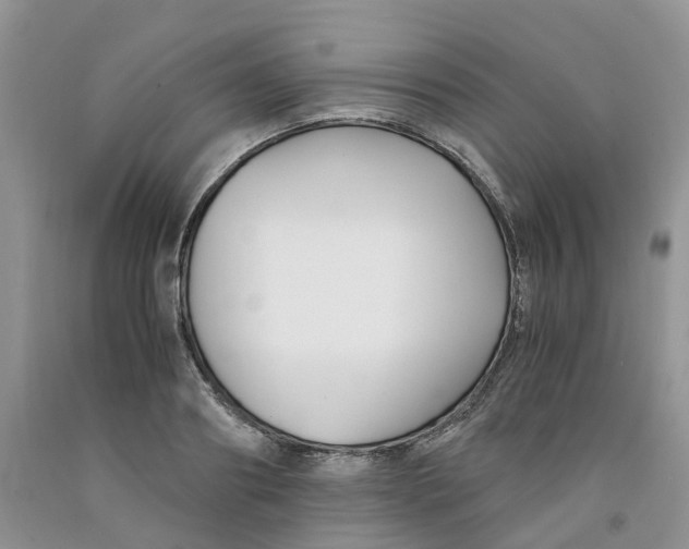 X0000091300890200709071051