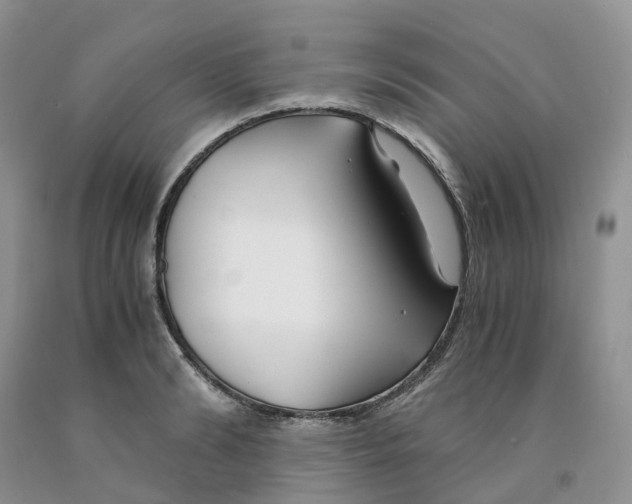 X0000091300894200709071050