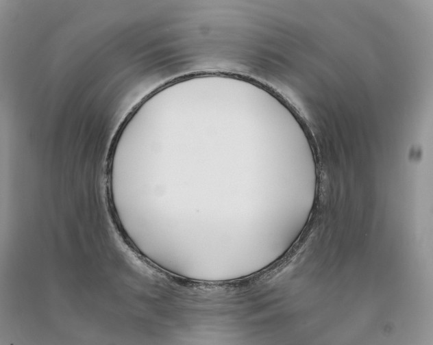 X0000091300895200709071050