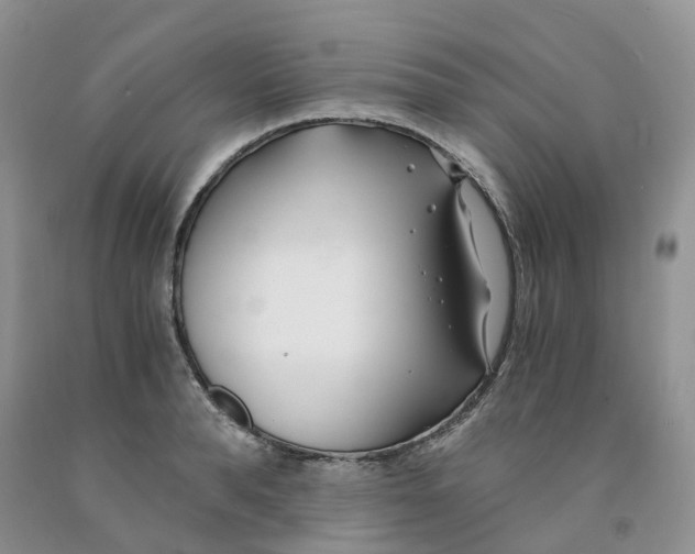 X0000091300896200709071050