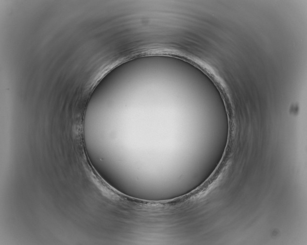 X0000091300897200709071050