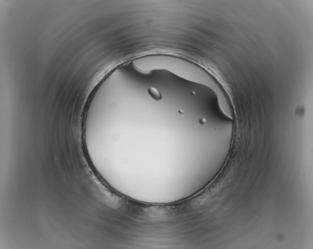 X0000091300898200709071050