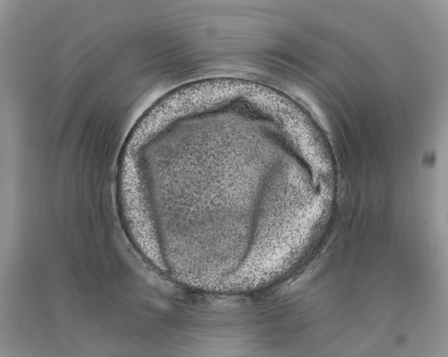 X0000091300899200709071050