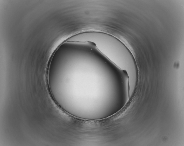 X0000091300901200709071050