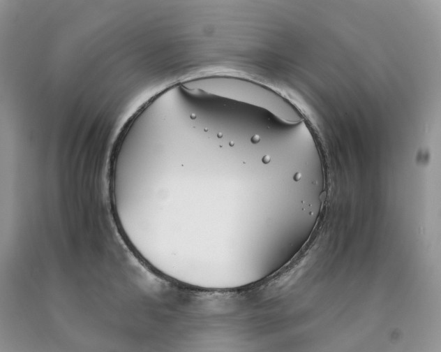 X0000091300902200709071050