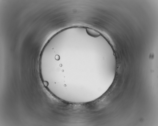 X0000091300903200709071050