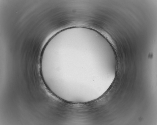 X0000091300904200709071050