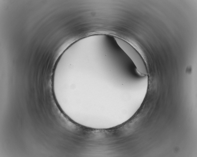 X0000091300906200709071050