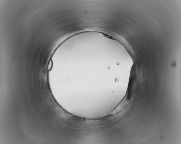 X0000091300908200709071050