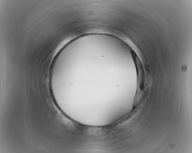 X0000091300909200709071050