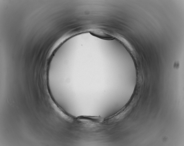 X0000091300910200709071050