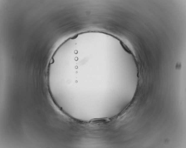 X0000091300911200709071050