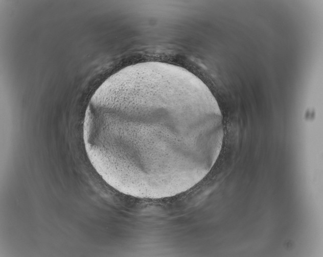 X0000091300913200709071050