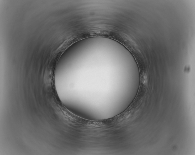 X0000091300915200709071050