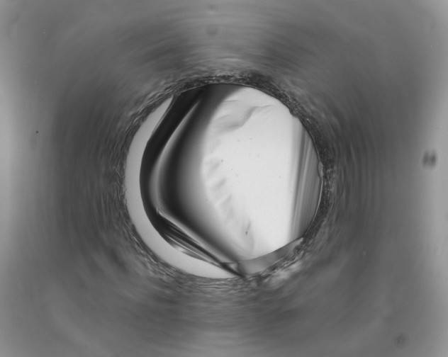 X0000091300916200709071050