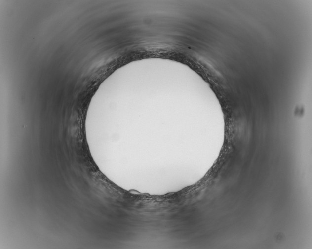 X0000091300917200709071050