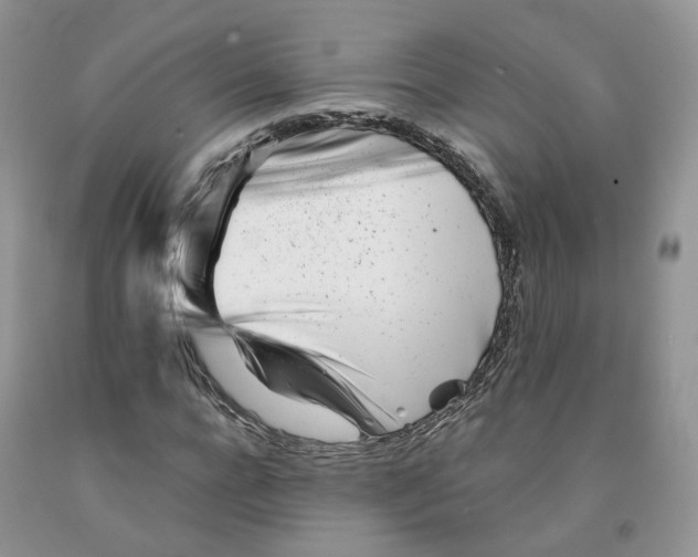 X0000091300920200709071050