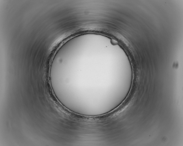 X0000091300922200709071050