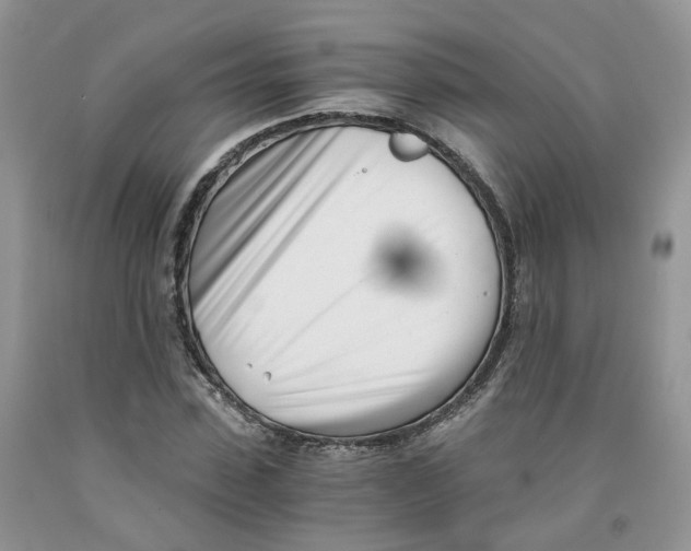 X0000091300923200709071050