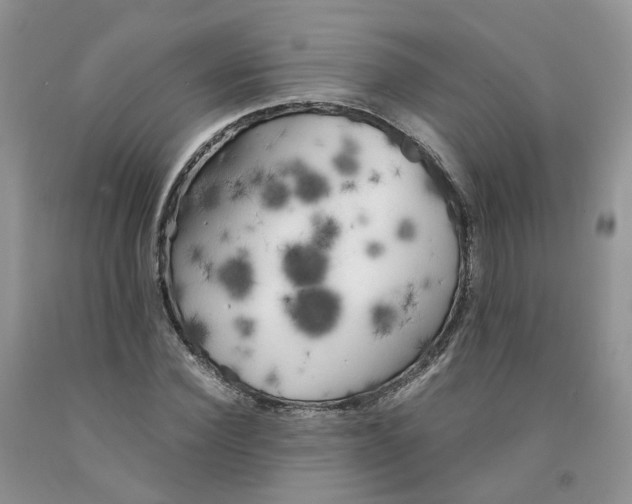 X0000091300924200709071050