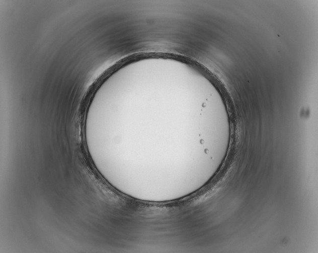 X0000091300925200709071050