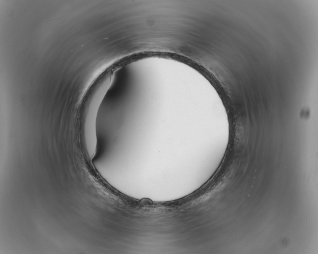 X0000091300926200709071050