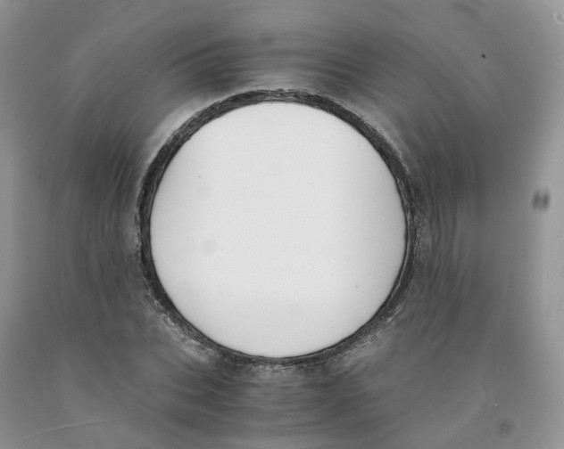 X0000091300927200709071050