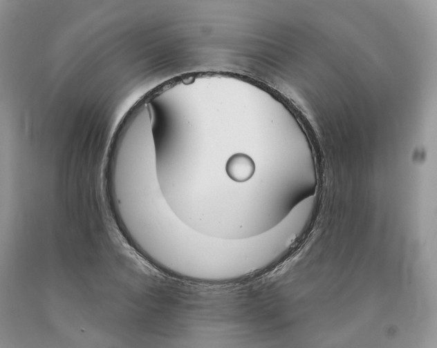 X0000091300928200709071050