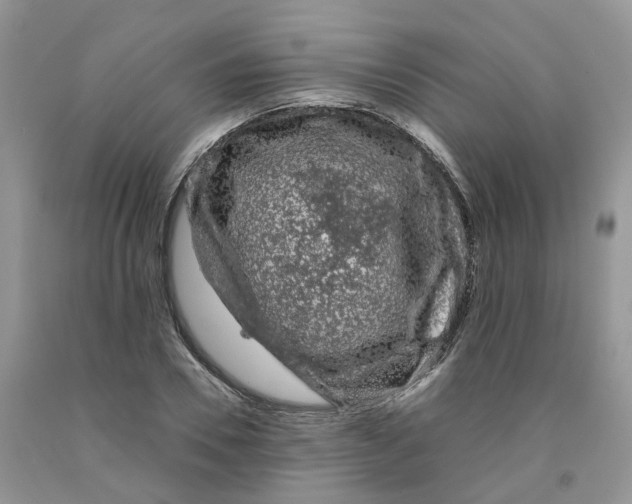 X0000091300930200709071050