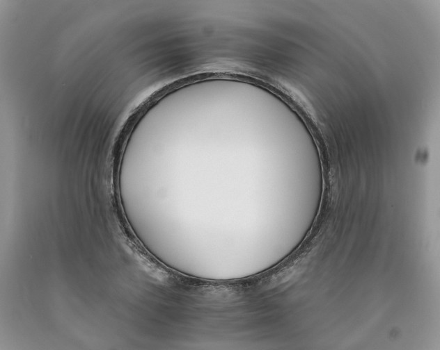 X0000091300931200709071050