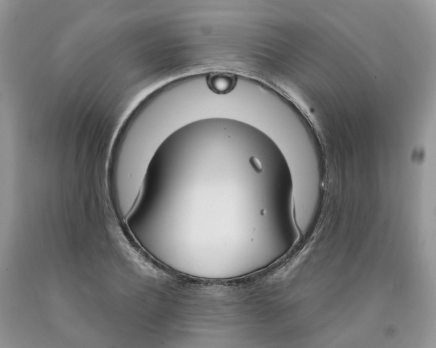 X0000091300932200709071050