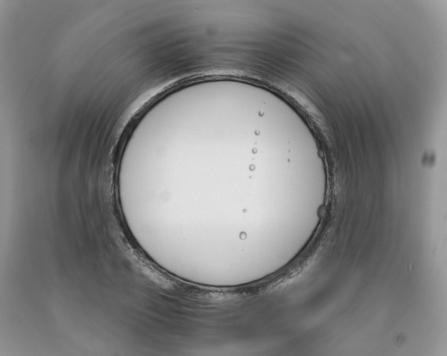 X0000091300933200709071050