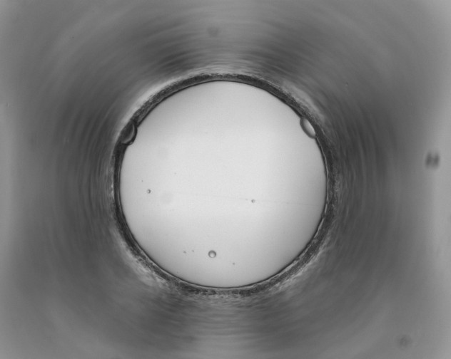 X0000091300934200709071050