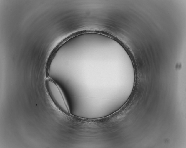 X0000091300935200709071050