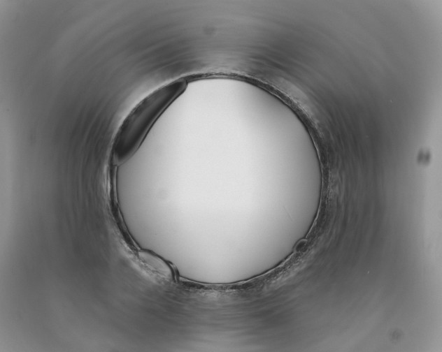 X0000091300936200709071050