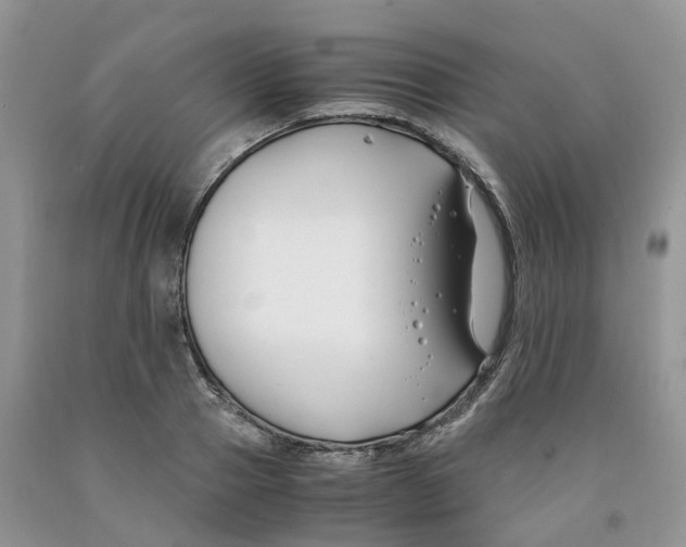 X0000091300937200709071050