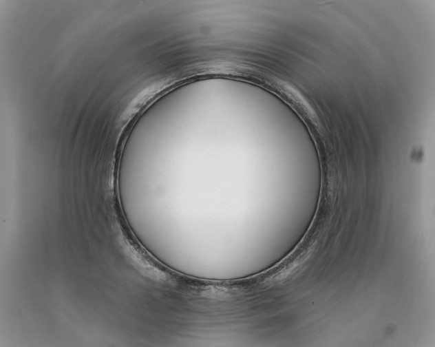 X0000091300938200709071050